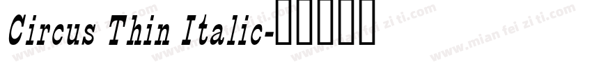 Circus Thin Italic字体转换